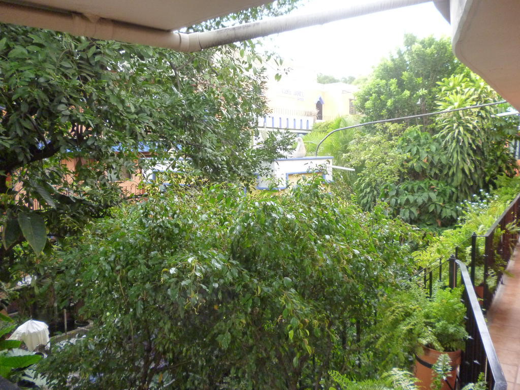 卡萨阿内尔酒店 Oaxaca 外观 照片